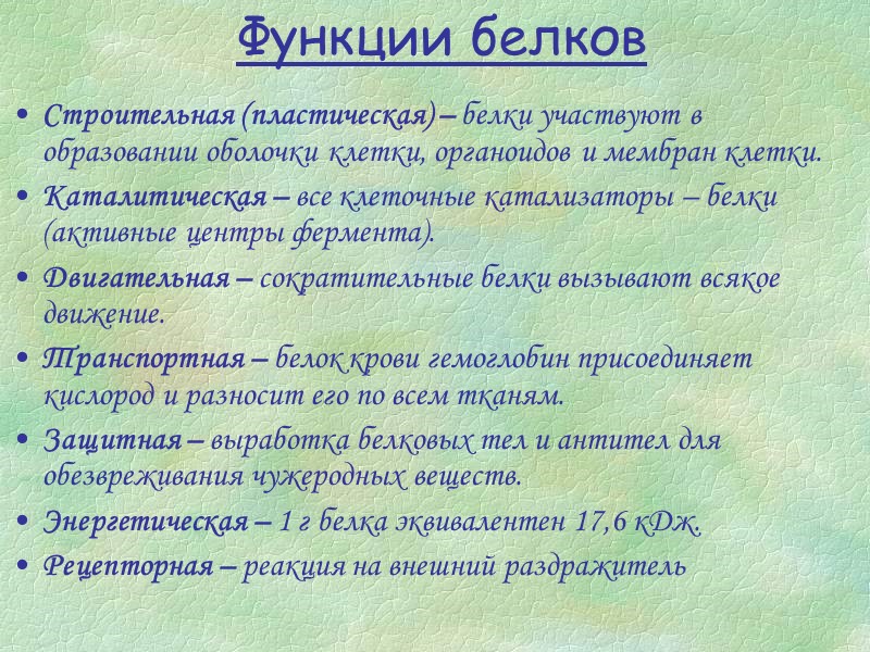 Функции белков Строительная (пластическая) – белки участвуют в образовании оболочки клетки, органоидов и мембран